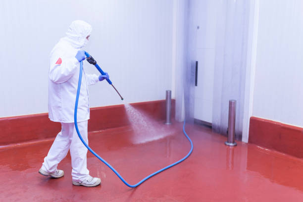 Best Residential Exterior Washing  in Zebulon, GA