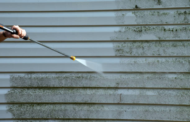 Trusted Zebulon, GA  Pressure Washing Services Experts